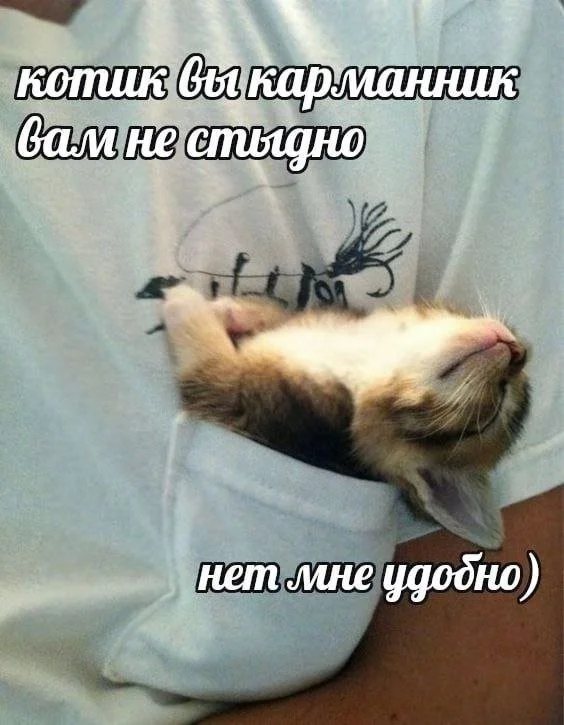 Смешные скрины из соцсетей #51