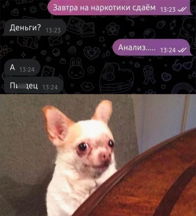 Архив баянов