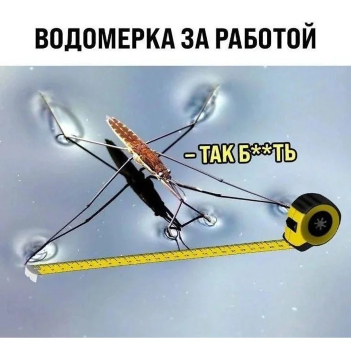 Нестандартный юмор #375