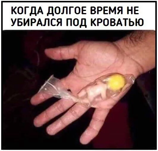 Веселые дичь