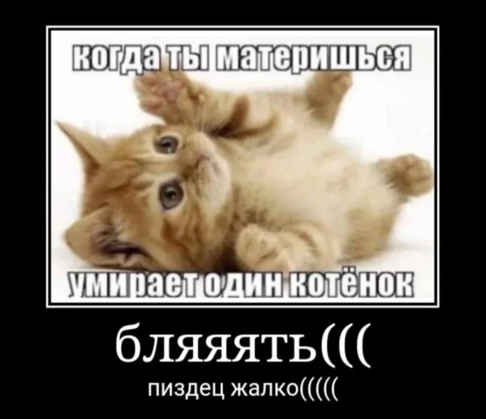 Нестандартный юмор #381