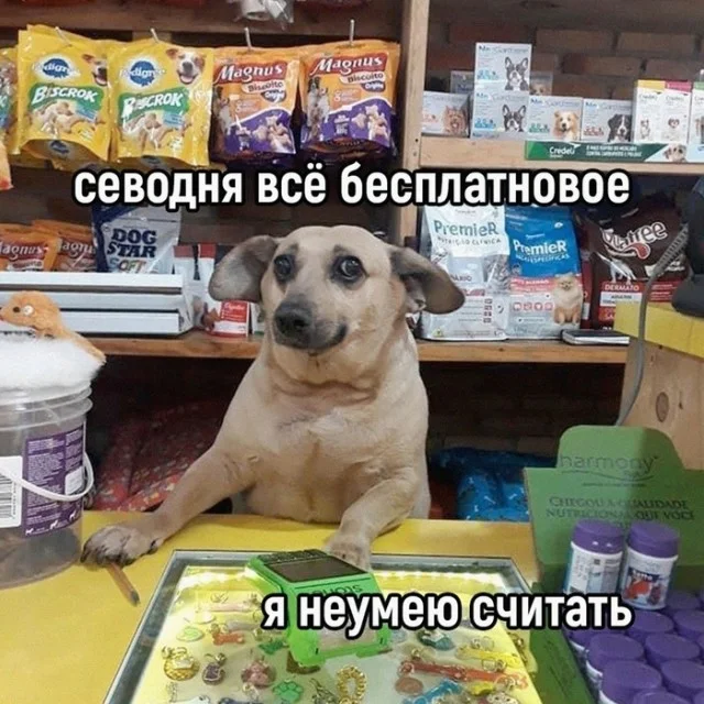 Халявные баяны