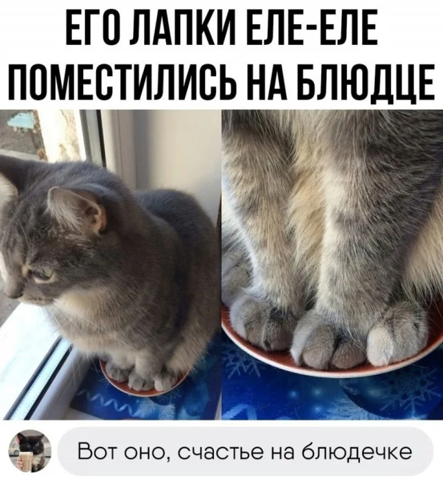 Получается реально прикольные картинки