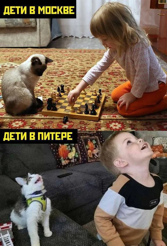Нестандартный юмор #390