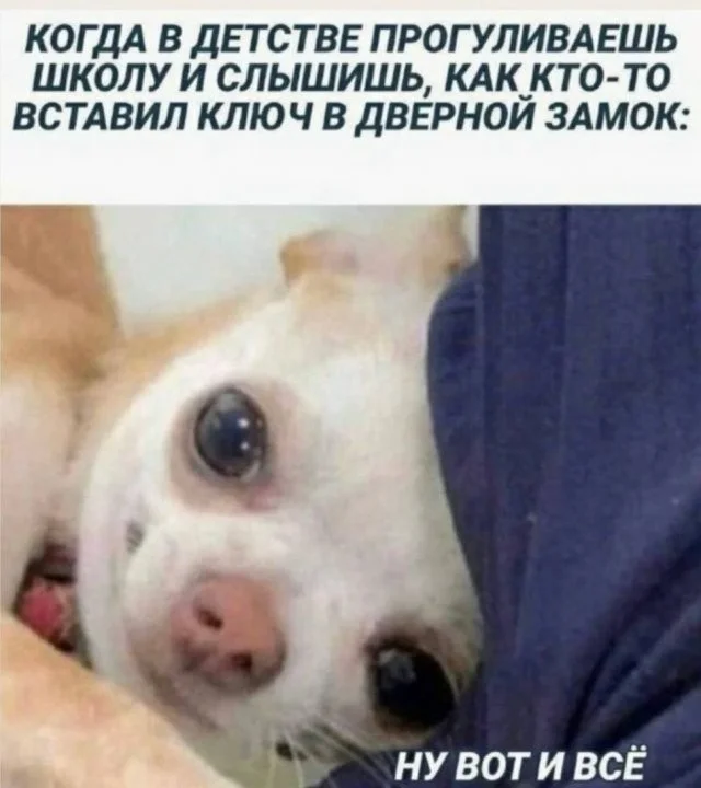 Смешные скрины из соцсетей #54