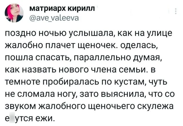 Смешные скрины из соцсетей #55