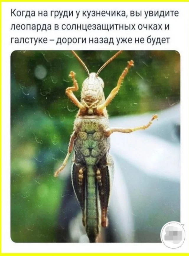 Смещно!