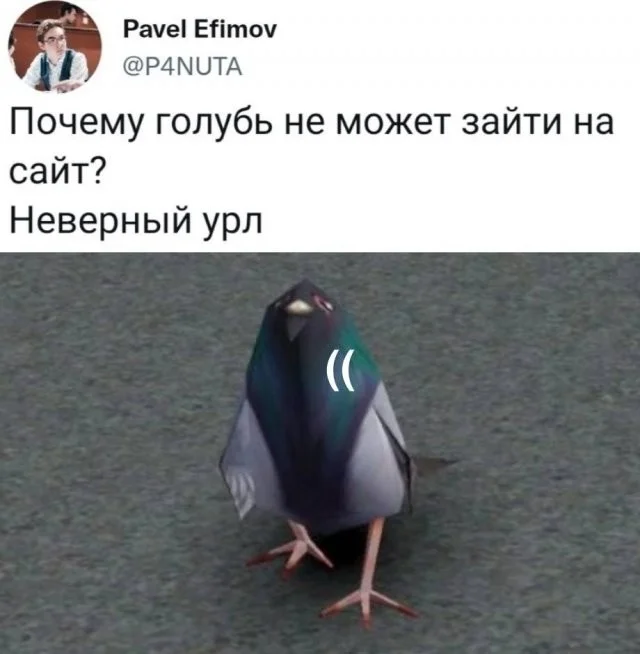 Смешные скрины из соцсетей #61