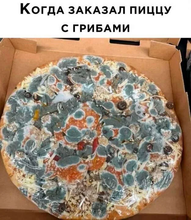 Халявные баяны