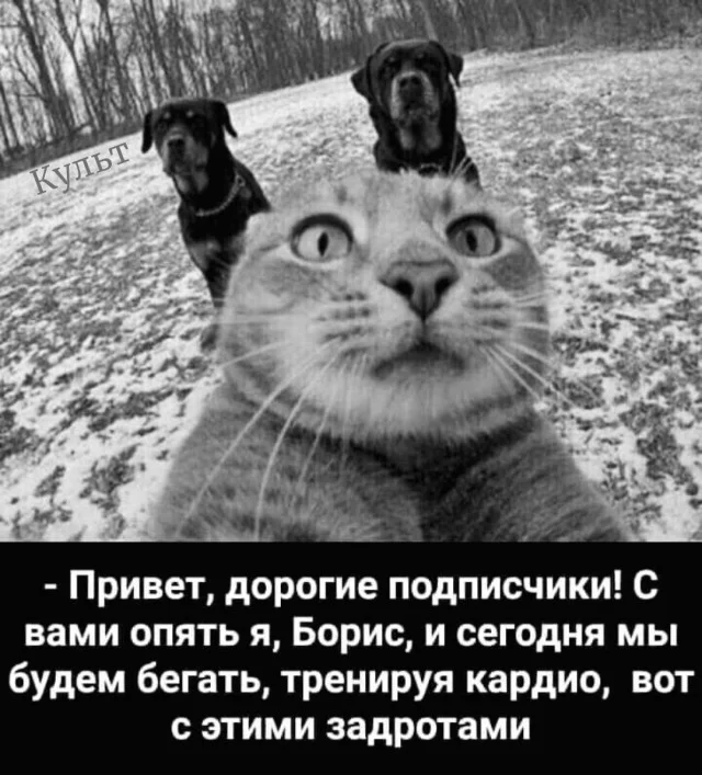 Весело и смешно!
