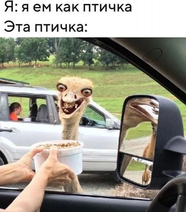 Нестандартный юмор #385