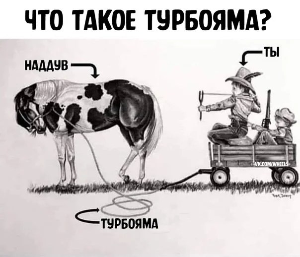 Архив баянов