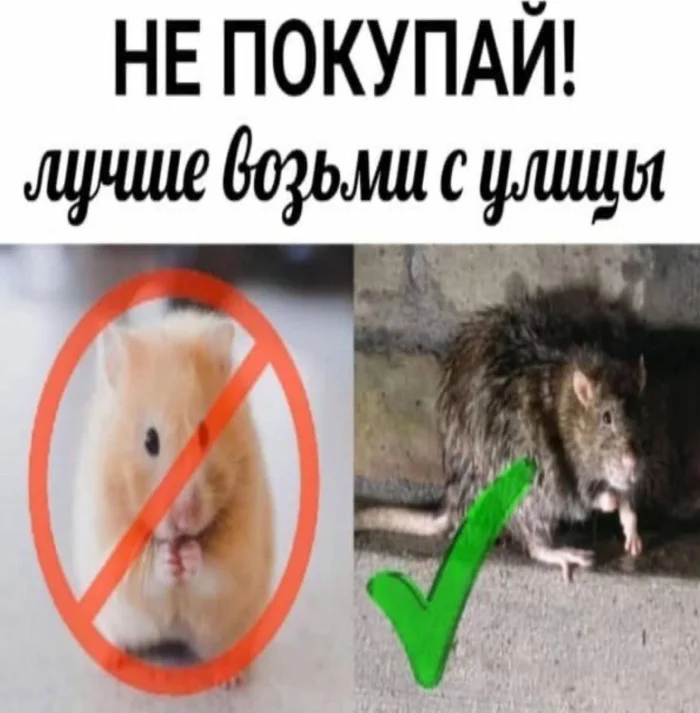 Нестандартный юмор #397