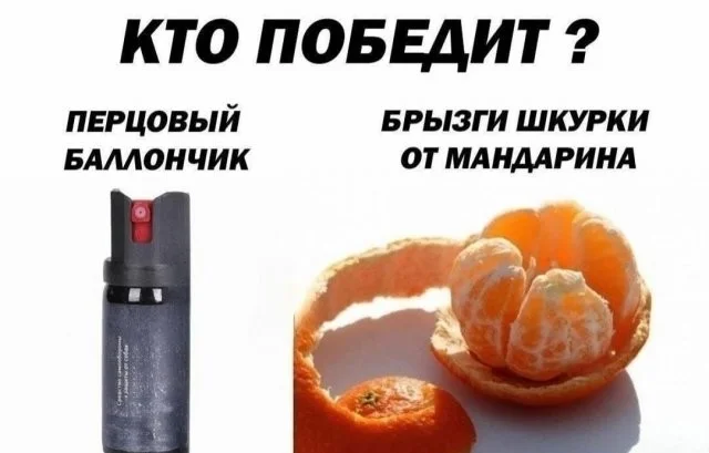 Смешные скрины из соцсетей #49