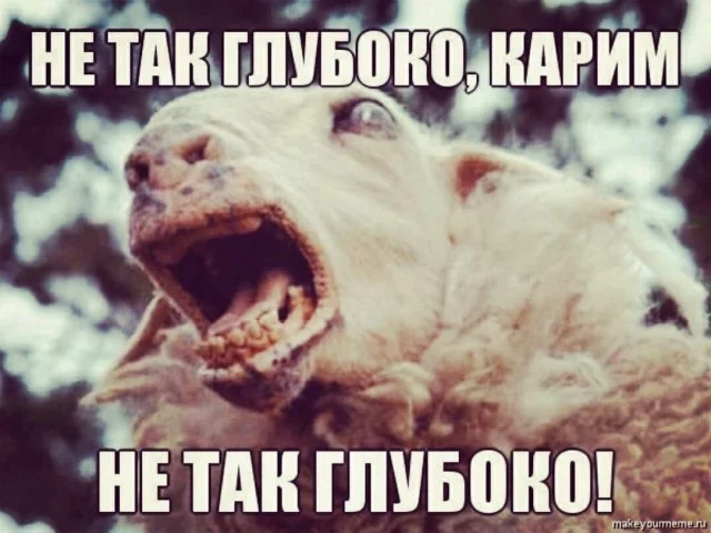 Картинки без морали