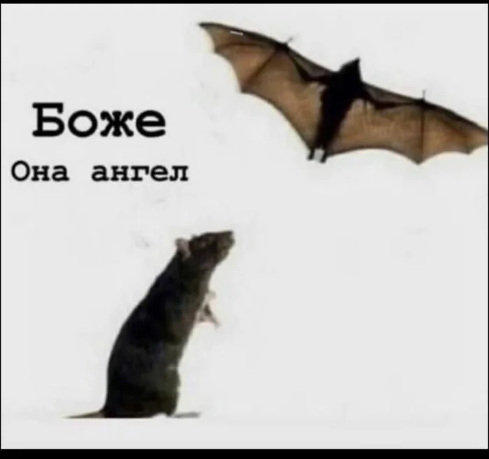 Нестандартный юмор #385