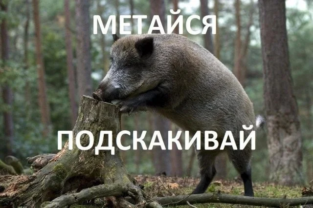 Смешные скрины из соцсетей #61