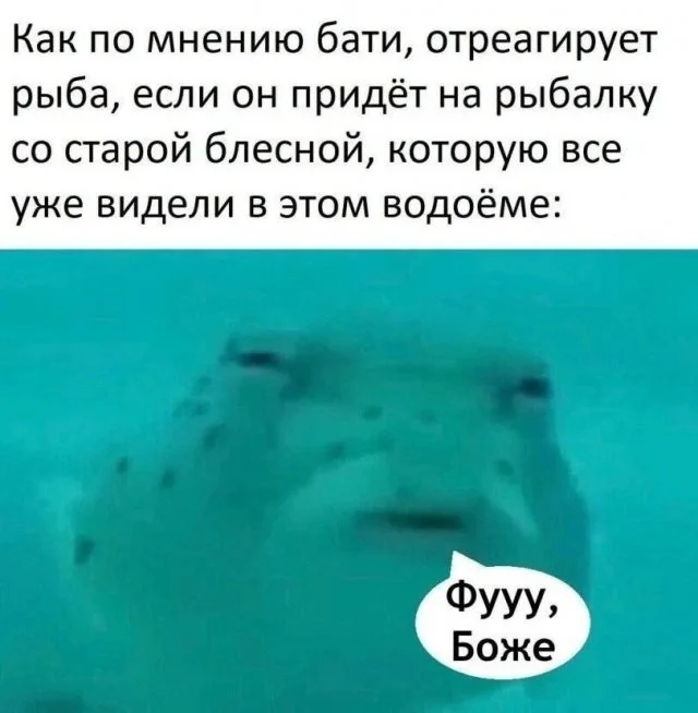 Смешные скрины из соцсетей #52