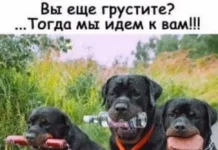 Кайфовые картинки