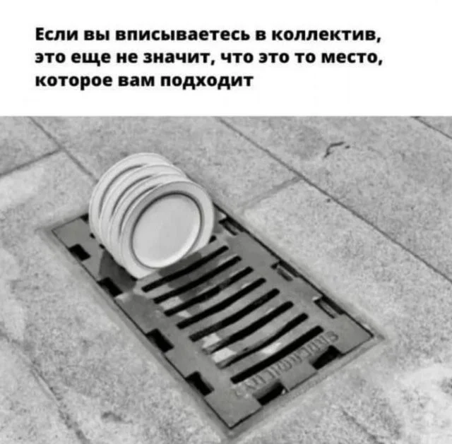 Смешные скрины из соцсетей #52