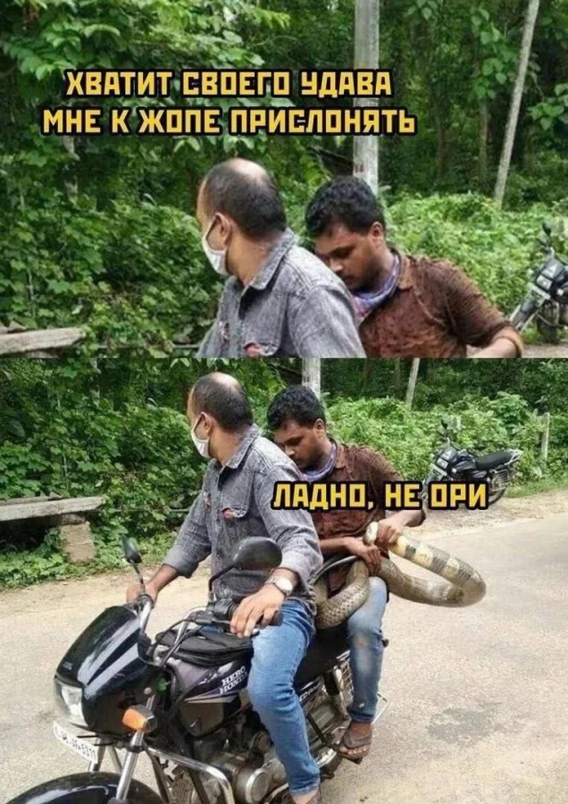 Нестандартный юмор #378