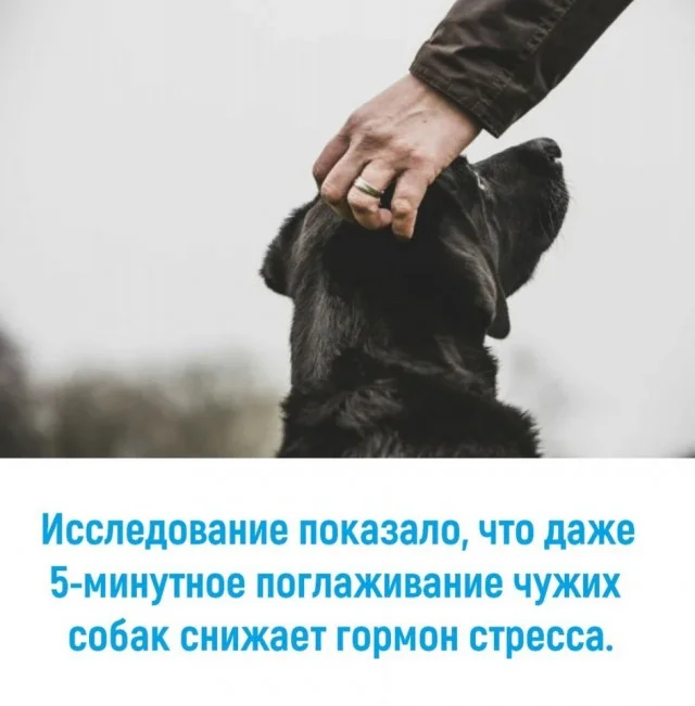 Получается реально прикольные картинки