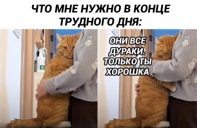 Смешные скрины из соцсетей #61