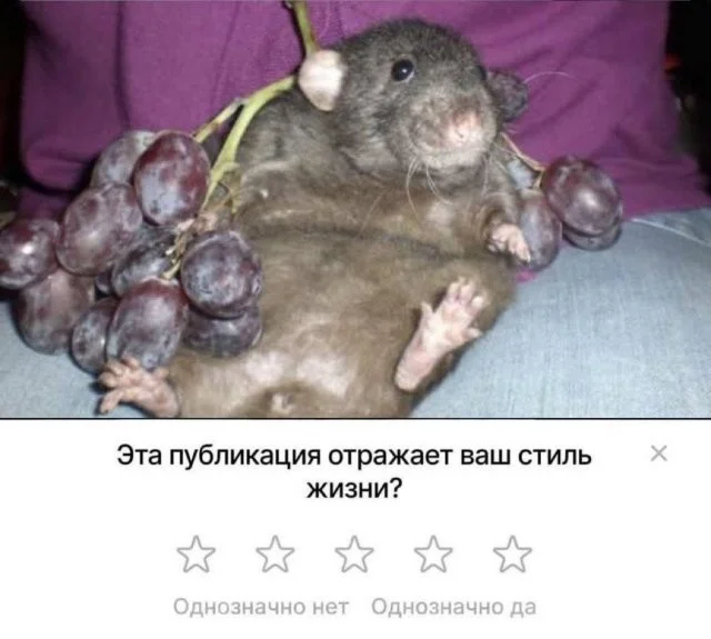 Смешные скрины из соцсетей #48