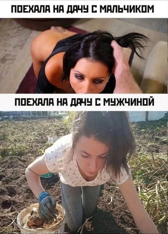 Нестандартный юмор #381