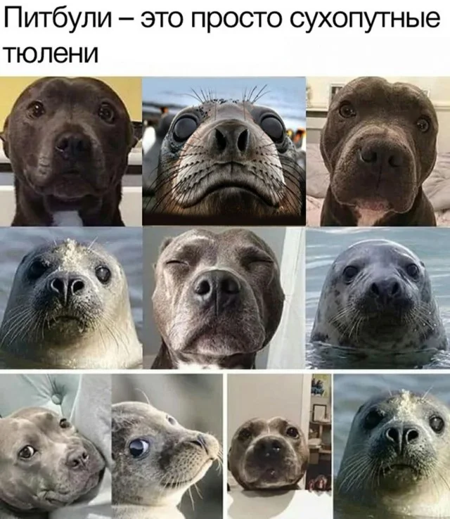 Весело и смешно!