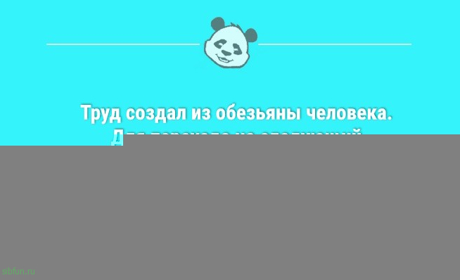 Анекдоты для позитива: «Китайская мудрость гласит…» 