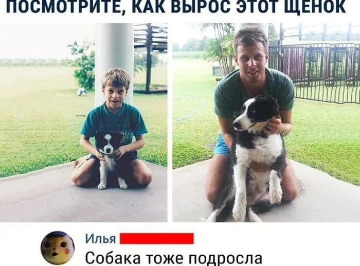 Нестандартный юмор #396