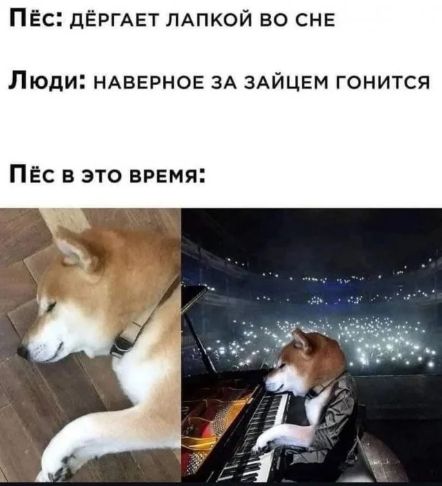 Смешные скрины из соцсетей #50