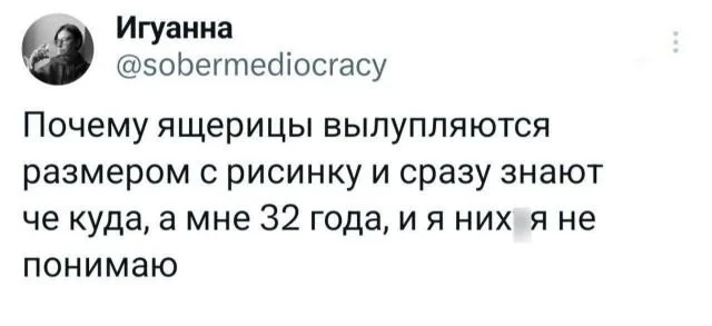 Смешные скрины из соцсетей #59