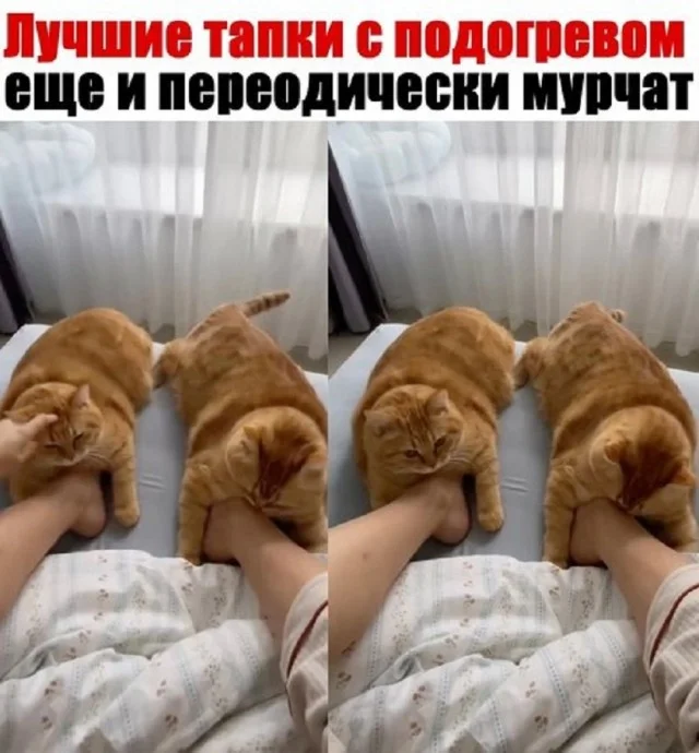 Весело и смешно!