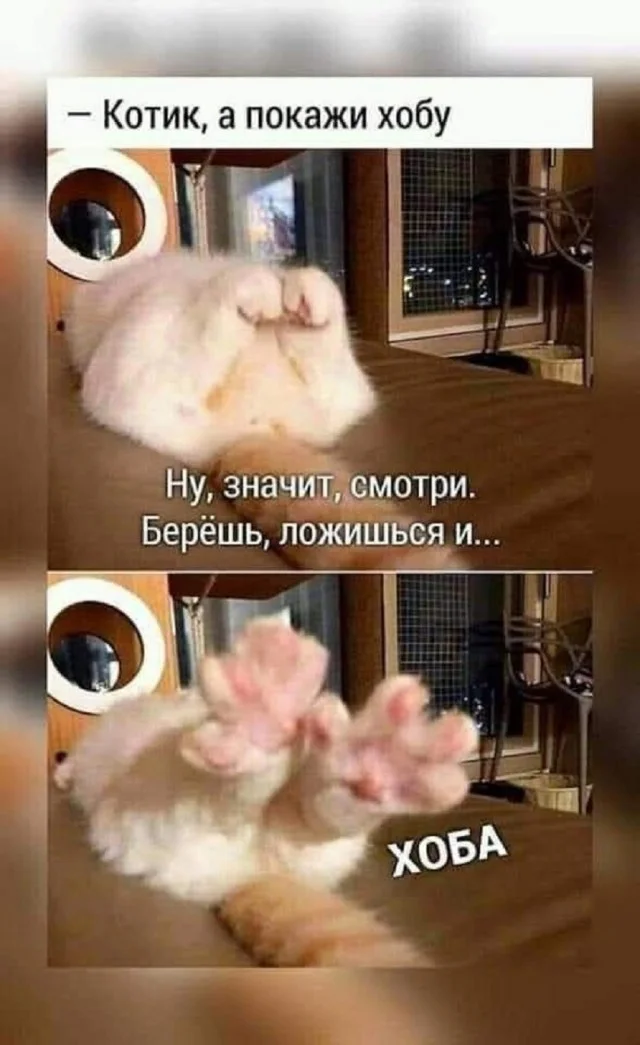 О, новые картинки!