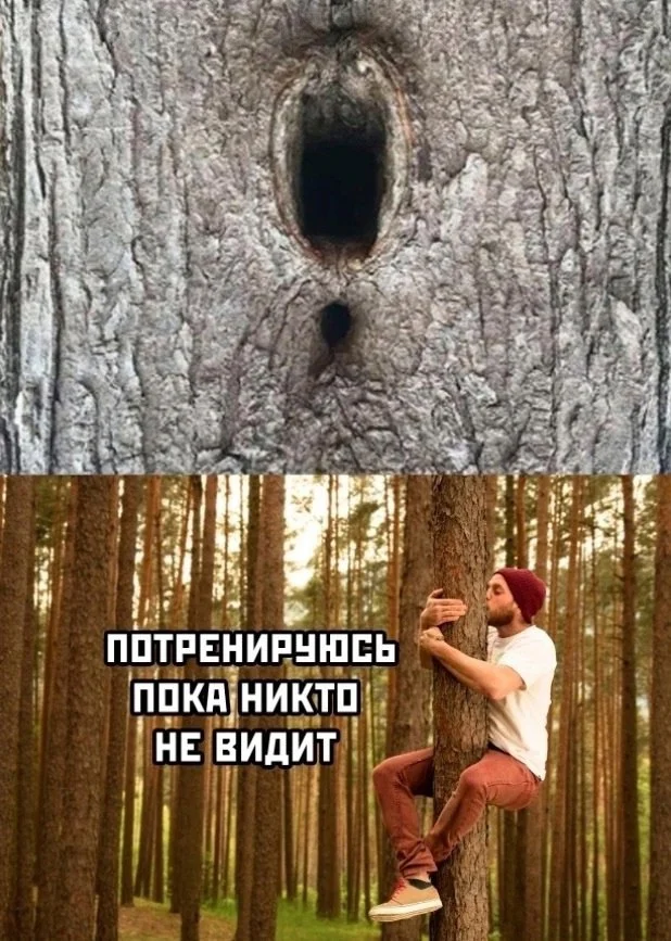 Нестандартный юмор #389