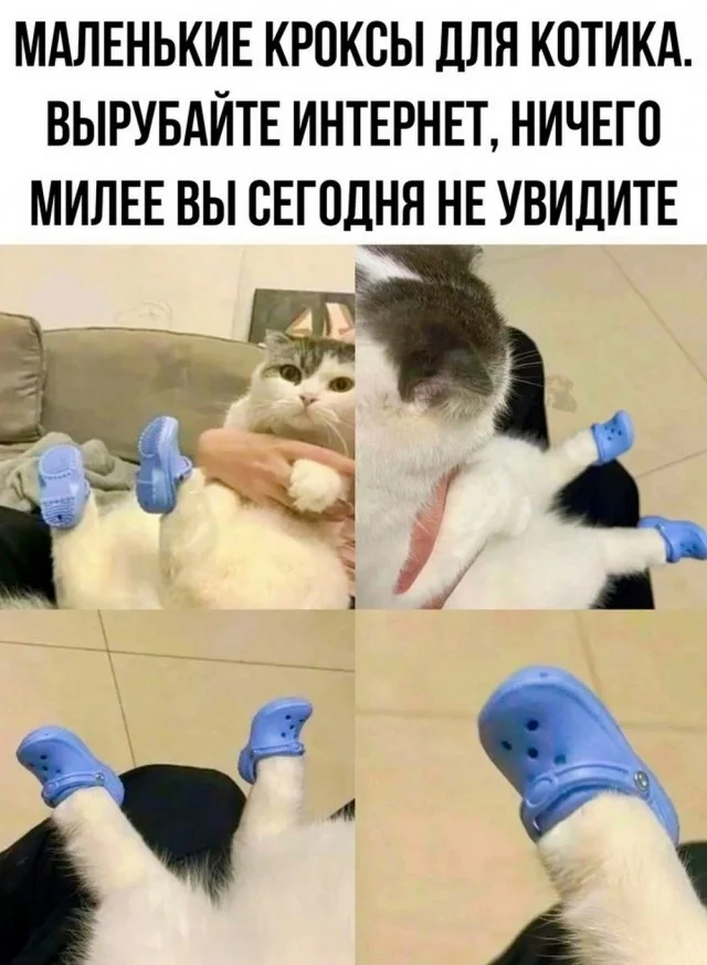 Смешные джепеги
