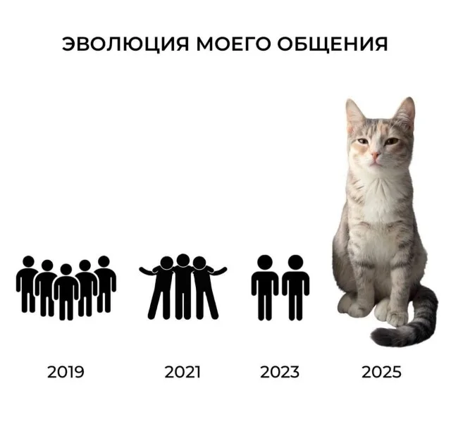 А вот и картинки