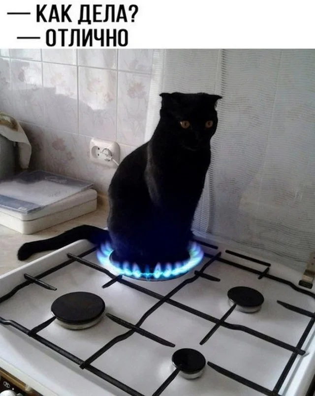 Смешные картинки! Смотрим!