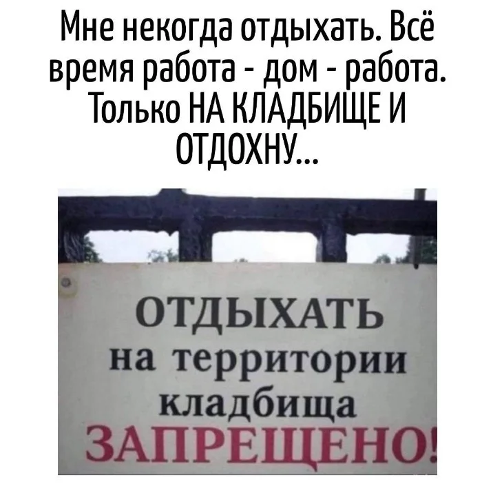 Игра слов #84