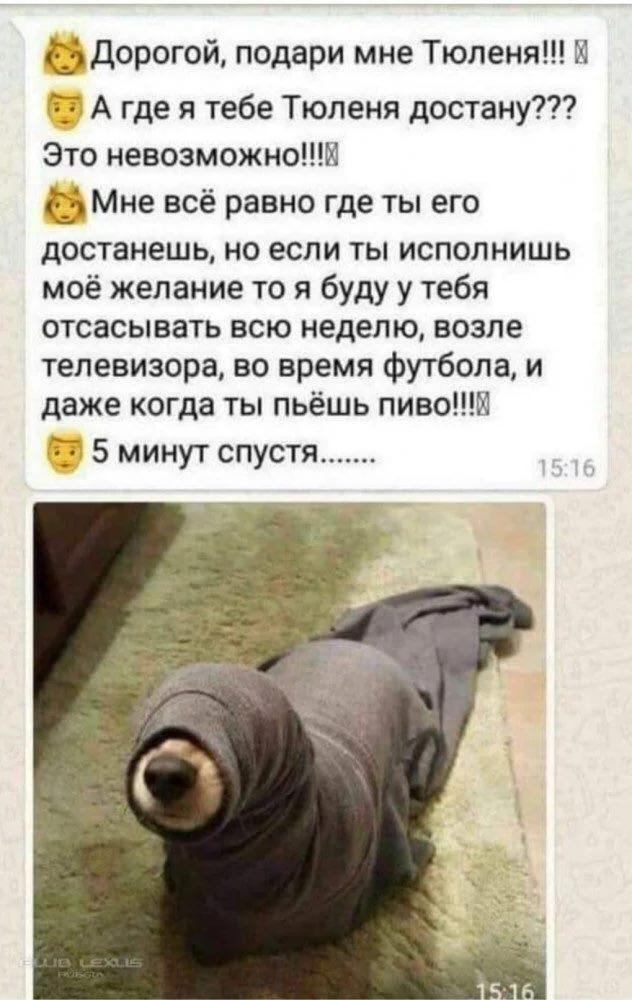 Веселая дичь