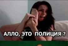 Веселые дичь