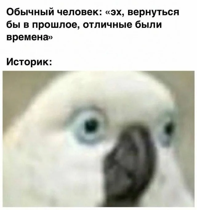 Смешные скрины из соцсетей #61