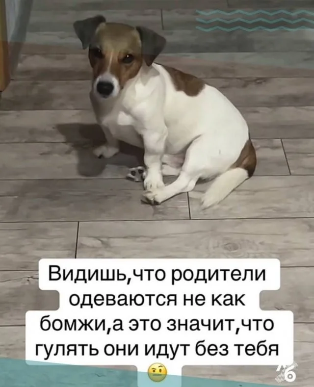 Смешные скрины из соцсетей #51