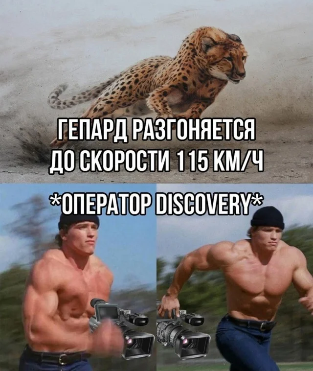 Смешные джепеги