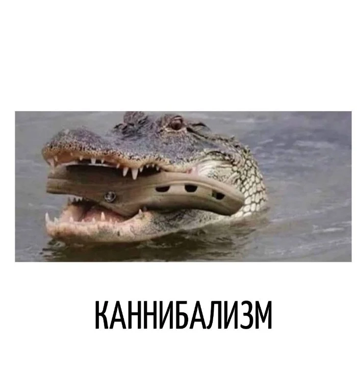 Игра слов #81