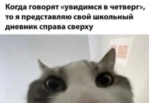 Смешные скрины из соцсетей #58