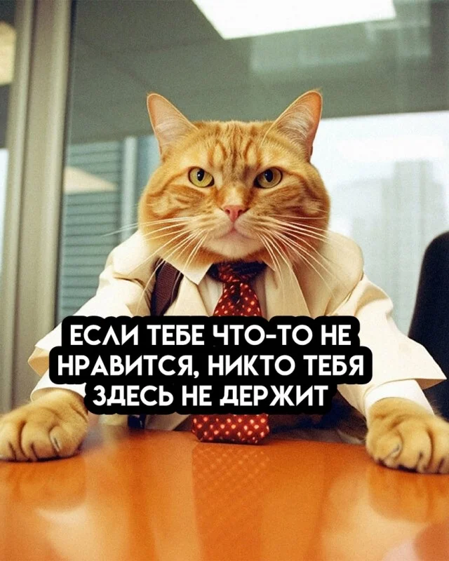 Получается юмор подъехал