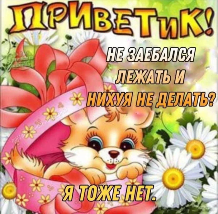 Нестандартный юмор #386